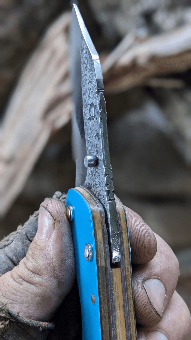 Le blue Burton N°1