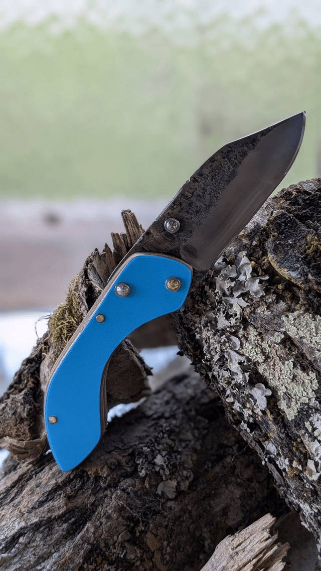 Le blue Burton N°1