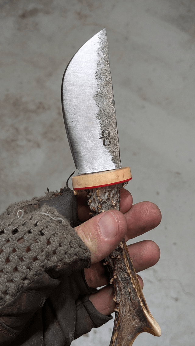 L'appel de la chasse N°2