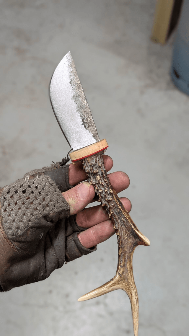 L'appel de la chasse N°2