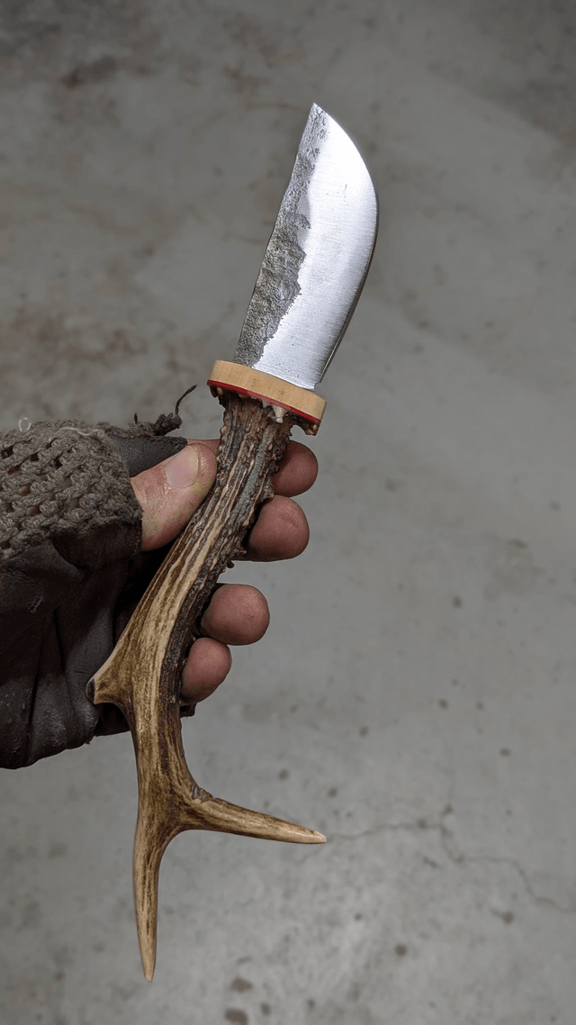 L'appel de la chasse N°2