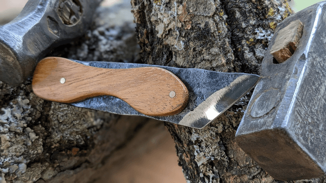 L'élégant cutter