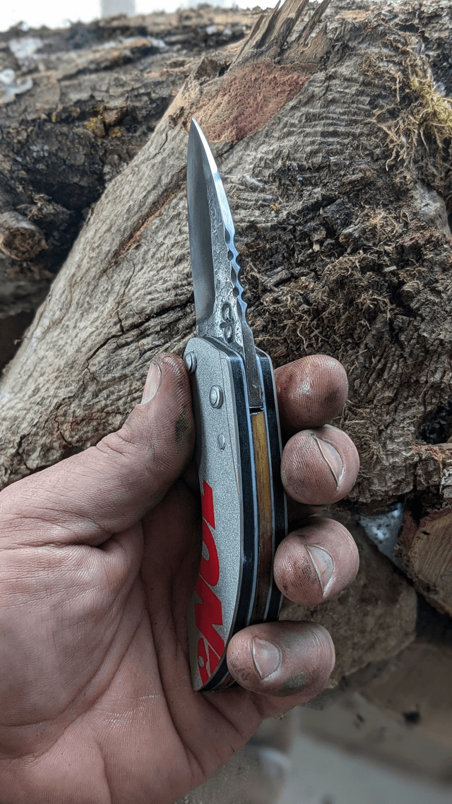 Le Rossignol N°1