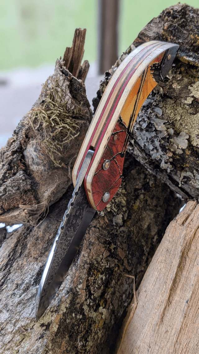 Le Rossignol Sultan N°1