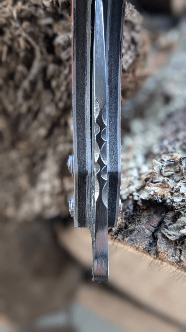 Le Rossignol N°1