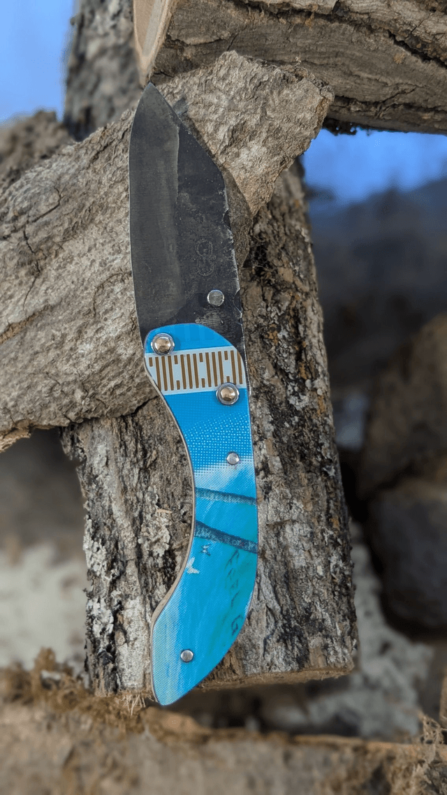 Le blue Burton N°2