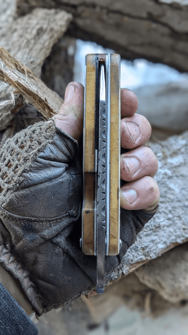 Le Salomon N°1