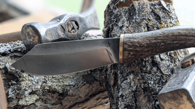 L'appel de la chasse