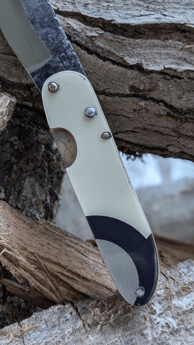 Le Salomon N°1