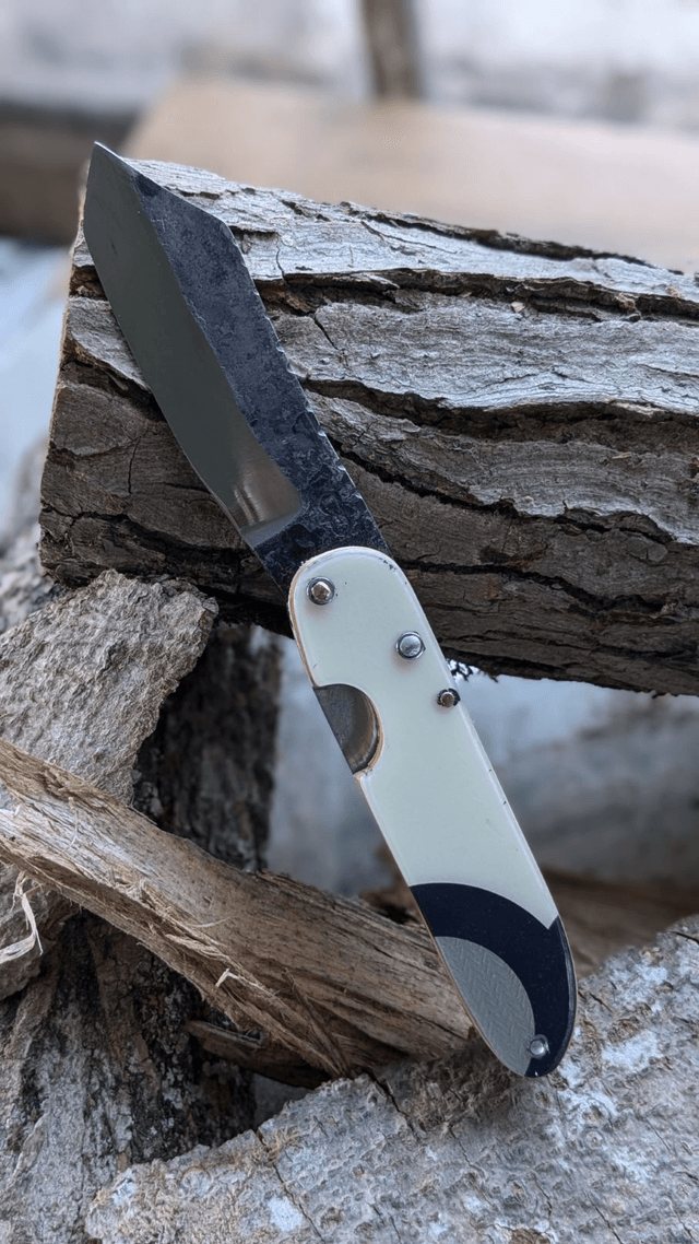 Le Salomon N°1